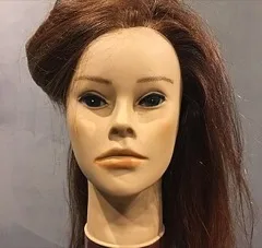 A mannequin head with long brown hair, seen from the front
