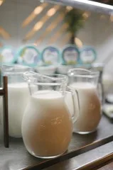 Glass pitchers filled with white milk