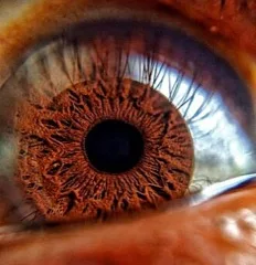 An extreme close-up of a human eye with a brown iris
